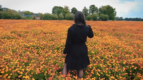 Back-of-woman-in-dress-stands-in-marigold-flower-field-flicks-hair-looks-around