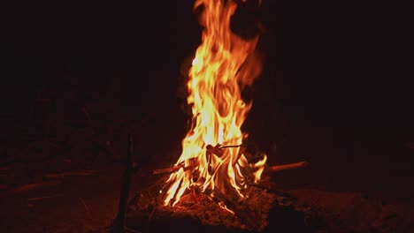 Blazing-Bonfire-On-Outdoor-Isolated-Against-Dark-Background