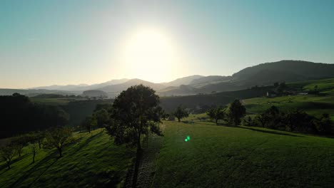 LKW-Flug-Von-Links-Nach-Rechts-In-Einer-Wunderschönen-Schweizer-Landschaft-Während-Des-Sonnenaufgangs,-Während-Vögel-Vorbeifliegen