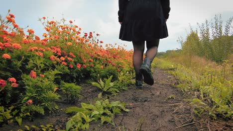 Women's-lower-half,-legs-walk-by-orange-marigold-flower-garden-nursery-tracking