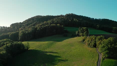 Vuelo-Sobre-Un-Campo-Hacia-Un-Bosque-En-Suiza