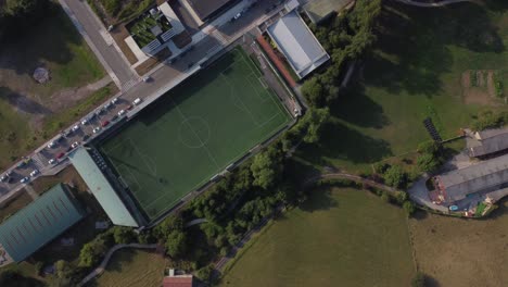 Top-view-of-a-football-pitch-near-cows-and-the-nature