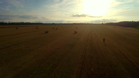 A-drone-shot-of-a-vast-land-with-shinny-yellow-sky-in-the-background-in-morning-time