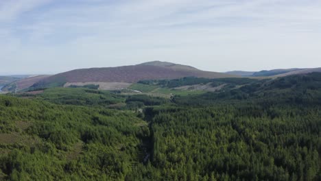 Eine-Luftaufnahme-über-Den-Wäldern-Mit-Den-Wicklow-Mountains-Im-Hintergrund-An-Einem-Sonnigen-Tag-Mit-Blauem-Himmel-2