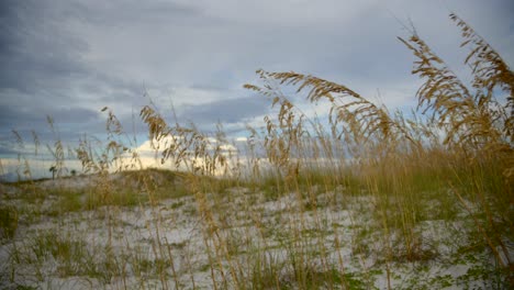 Sunset-on-the-dunes-by-the-ocean-with-an-anamorphic-lens
