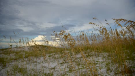 Sunset-on-the-dunes-with-an-anamorphic-lens