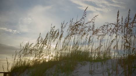 Sunset-on-the-dunes-by-the-ocean-in-anamorphic