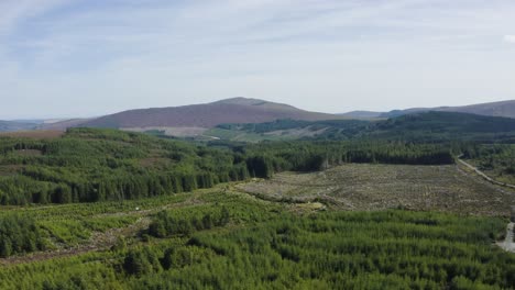 An-aerial-shot-over-the-forests-with-the-Wicklow-Mountains-in-the-background-during-a-sunny-day-with-blue-skies-1