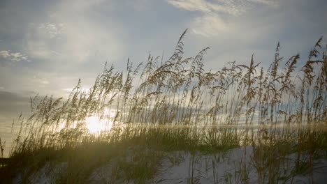 Anamorphic-sunset-shot-on-the-dunes-by-the-beach
