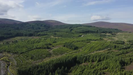 An-aerial-shot-over-the-forests-with-the-Wicklow-Mountains-in-the-background-during-a-sunny-day-with-blue-skies