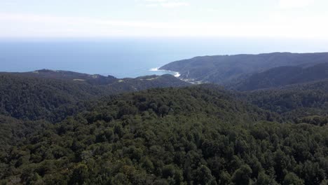 Aerial-landscape-wide-view-of-the-coast-and-a-forest-in-Oncol-Park,-Chile