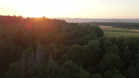Circular-flying-drone-footage-over-a-huge-forest-and-meadows-at-an-orange-sunset-with-mountains-in-the-background