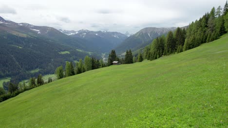 Aerial-drone-footage-flying-close-to-an-alpine-meadow-in-spring-in-full-flower-towards-a-Swiss-alpine-log-cabin-and-a-forest-of-green-conifer-trees-and-mountains-in-the-background