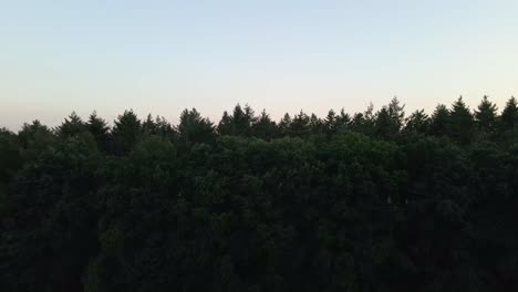 Rising-drone-images-fly-over-meadows-to-large-forests-at-dusk