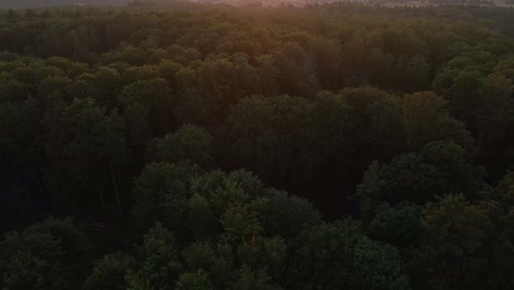Tilting-drone-aerial-footage-slowly-revealing-a-beautiful-sunset-over-a-forest-with-hills-in-the-background
