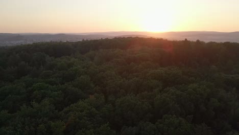 Backward-flying-drone-footage-over-a-huge-forest-at-an-orange-sunset-with-mountains-in-the-background