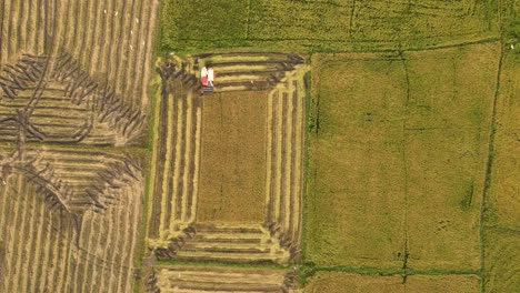 Aerial-Drone-Shot-Timelapse-Of-Truck-Harvesting-Crops-on-a-Field