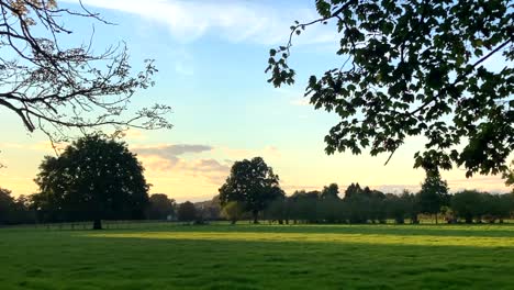 Schöne-Natur-Und-Landschaft-Bei-Sonnenuntergang-In-Surrey,-England