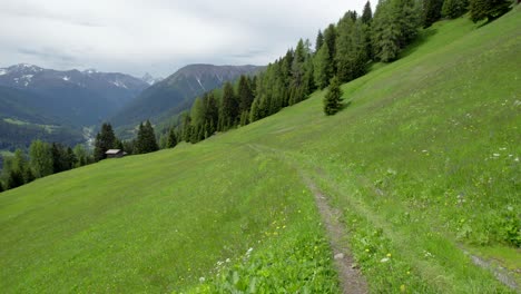 Luftdrohnenaufnahmen,-Die-Im-Frühjahr-In-Voller-Blüte-In-Der-Nähe-Einer-Alpenwiese-Fliegen,-Mit-Einer-Schweizer-Alpinen-Blockhütte-Und-Einem-Wald-Aus-Grünen-Nadelbäumen-Und-Bergen-Im-Hintergrund-In-Der-Schweiz