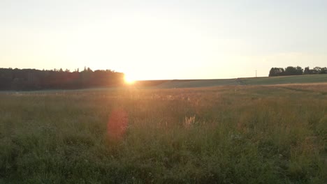 Tieffliegende-Drohnenbilder-über-Wiesen-Bei-Sonnenuntergang-Mit-Wunderschönen-Sonneneruptionen-Im-Hintergrund-Der-Wald
