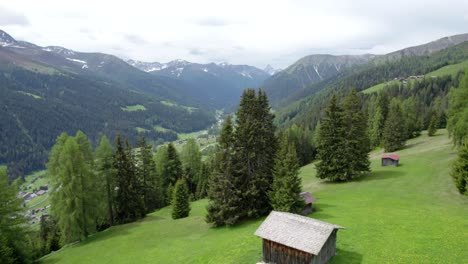 Aerial-drone-footage-rising-above-an-alpine-meadow-in-spring-in-full-flower-with-a-forest-of-green-conifer-trees,-a-log-cabin-and-mountains-in-the-background-in-Davos,-Switzerland