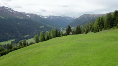 Aerial-drone-footage-rising-above-an-alpine-meadow-in-spring-in-full-flower-with-a-forest-of-green-conifer-trees,-log-cabin-and-mountains-in-the-background-in-Davos,-Switzerland