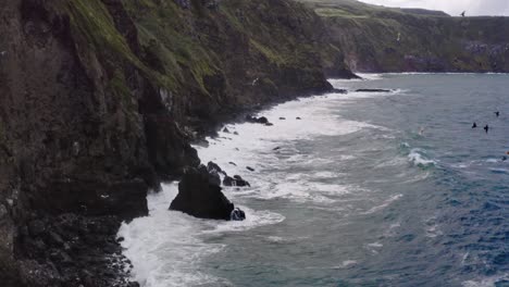 Sea-birds-flying-above-ocean-waves-crashing-on-rock-cliffs,-Azores