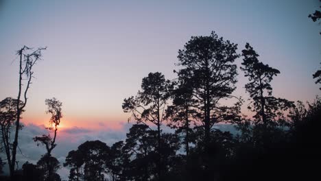 Die-Sonne-Geht-In-Einem-Bergwald-über-Den-Wolken-In-Oaxaca,-Mexiko-Unter-1