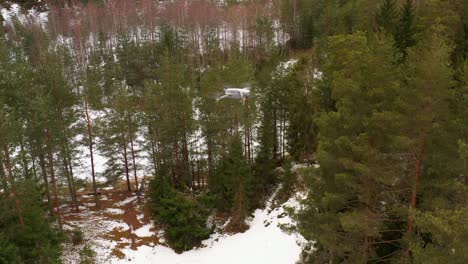 Drone-shot-of-another-drone-flying-above-huge-snowy-forest-in-rural-area-doing-inspection-of-nature