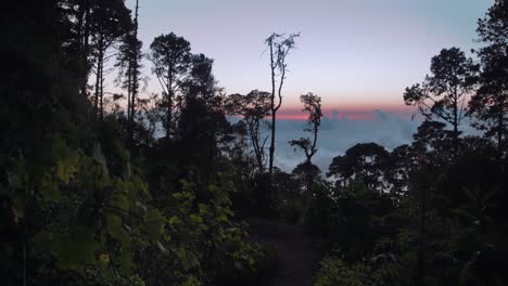 The-sun-sets-in-a-mountain-forest-above-the-clouds-in-Oaxaca,-Mexico-3