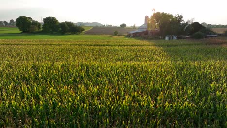 Rural-family-farm-scene-in-midwestern-USA