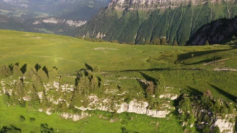 Beautiful-grassy-plateau-during-a-sunny-afternoon-in-the-Alps