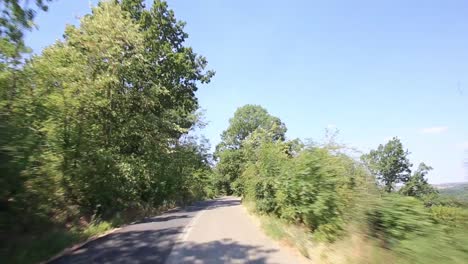 Driving-a-car-or-car-on-a-winding-country-road,-surrounded-by-trees