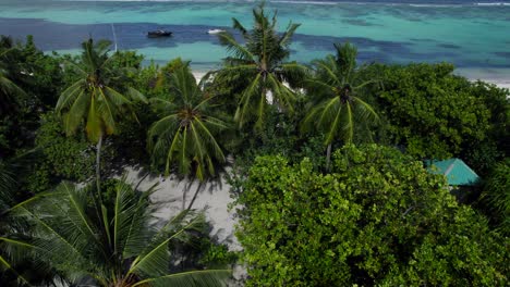 Drone-Kardanische-Aufhängung,-Die-Zwei-Festgemachte-Boote-Im-Türkisfarbenen-Wasser-Einer-Insel-Auf-Den-Malediven-Enthüllt