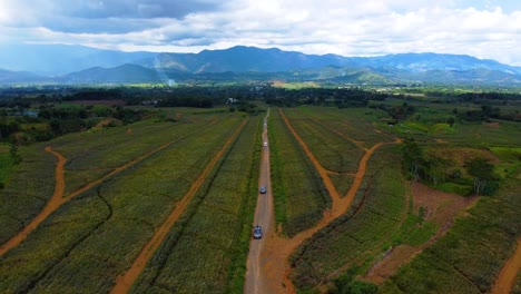 Drone-shot-of-vehicles-on-a-plantation