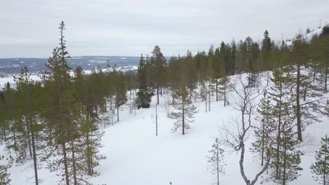 Vistas-Invernales-Desde-La-Colina-Ounasvaara-Y-El-Centro-De-Esquí-En-Rovaniemi