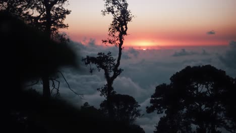 El-Sol-Se-Pone-En-Un-Bosque-De-Montaña-Por-Encima-De-Las-Nubes-En-Oaxaca,-México-2