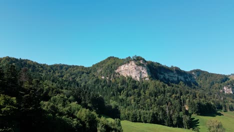 Rock-Mitten-Im-Wald-An-Einem-Ort-In-Der-Schweiz-Gegen-Ende-Des-Sommers-1