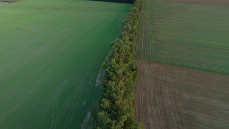 Aerial-drone-shot-of-trees-separating-fields