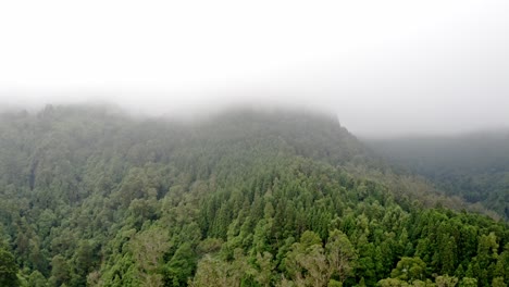 Vapor-clouds-covering-lush-mountain-forest-in-Azores,-aerial-panorama