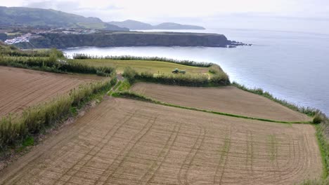 Tractor-reversing-in-field-on-sea-cliff-edge-in-Azores,-zooming-aerial