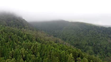 Mist-evaporating-from-lush-mountain-forest-in-Azores,-aerial-view