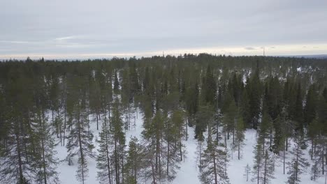 Winteransichten-Vom-Ounasvaara-Hügel-Bei-Rovaniemi-Zur-Stadt