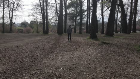 Hombre-Caminando-Hacia-La-Cámara-Solo-En-El-Bosque-En-Un-Parque
