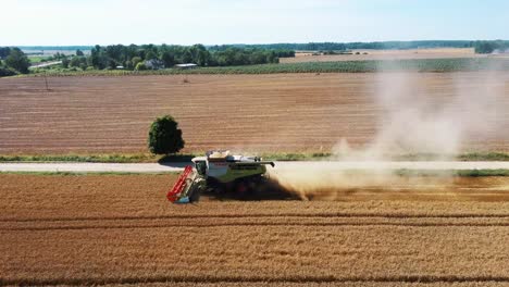 Aerial-View-of-Harvester-Mower-Mechanism-Cuts-Wheat-Spikelets-4