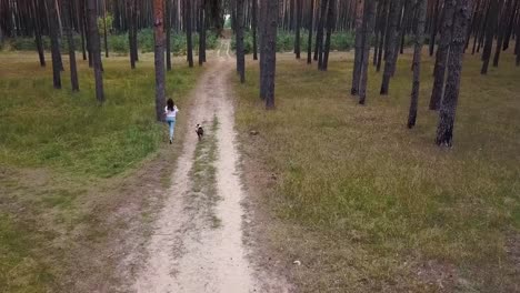 Arial-view-of-woman-and-her-dog-running-in-the-woods,-following-road-path-in-the-middle-of-the-trees