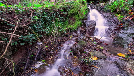 Time-lapse-of-idyllic-stream-flowing-downhill-green-mountain