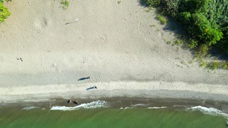 Top-down-aerial-birds-eye-view-people-playing-and-having-fun-at-beach