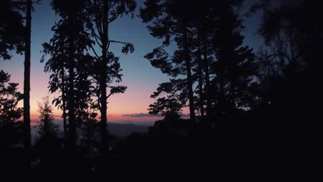 El-Sol-Se-Pone-En-Un-Bosque-De-Montaña-Por-Encima-De-Las-Nubes-En-Oaxaca,-México-5