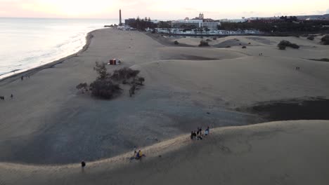 Sand-dunes-meet-the-Atlantic-Ocean-7
